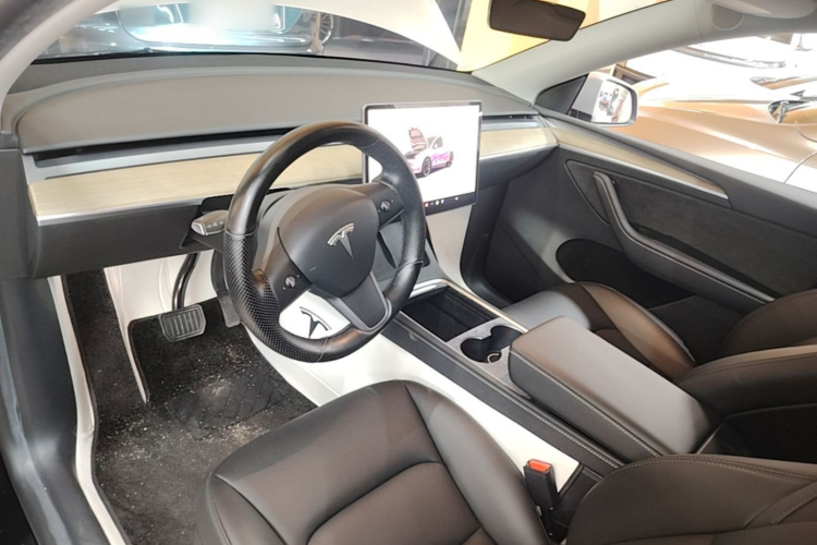 Tesla Model Y 2023 car image #10