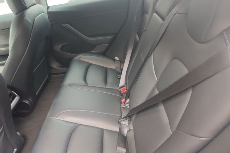 Tesla Model 3 2023 car image #13