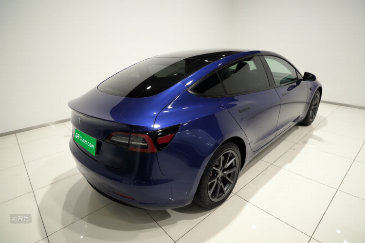 Tesla Model 3 2021 car image #7