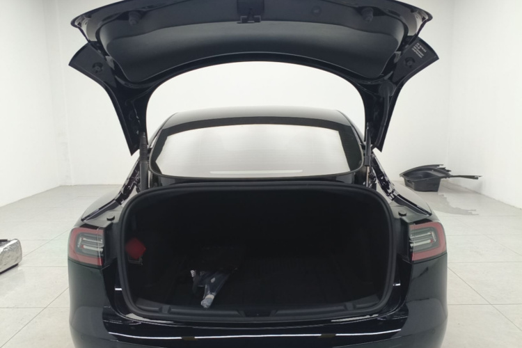 Tesla Model 3 2023 car image #19