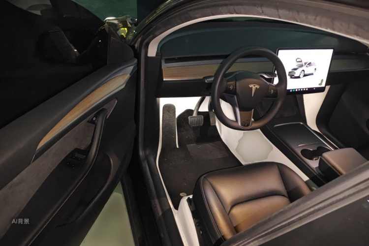 Tesla Model Y 2023 car image #18