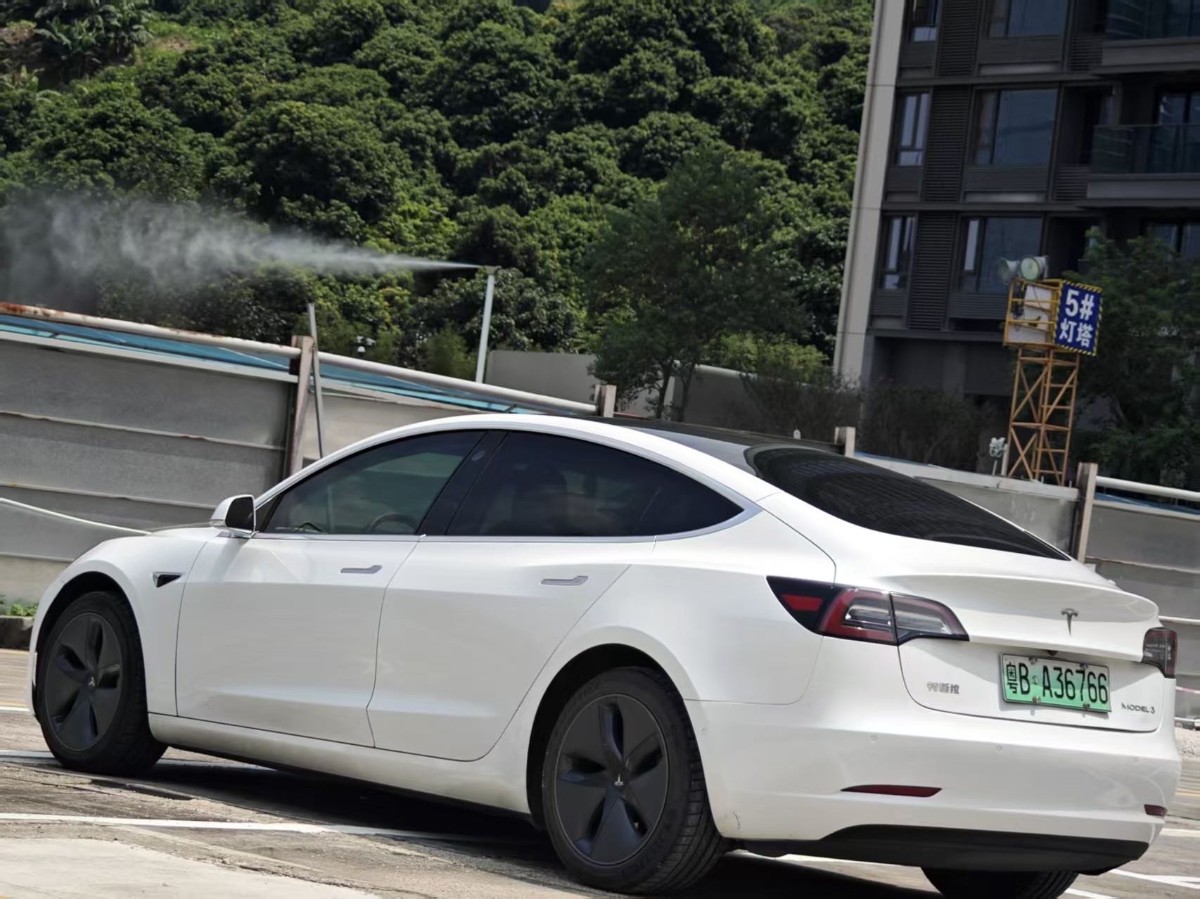 Tesla Model 3 2020 car image #7