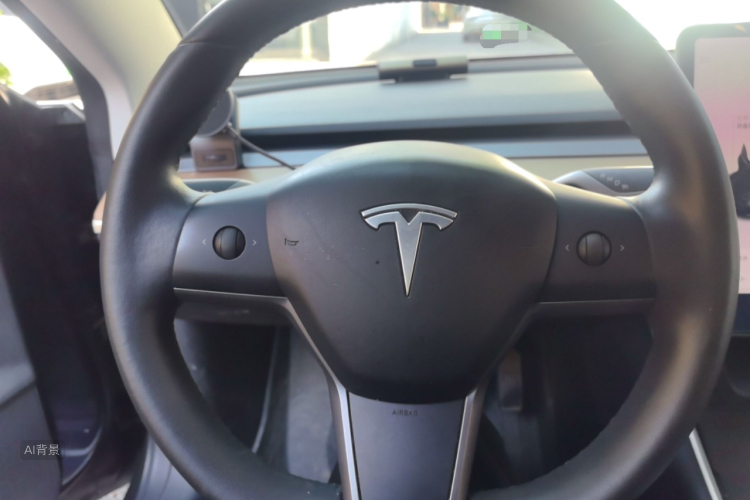 Tesla Model 3 2020 immagine di auto #12