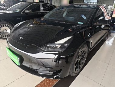 Tesla Model 3 2023 Tesla Model 3 2023 car image