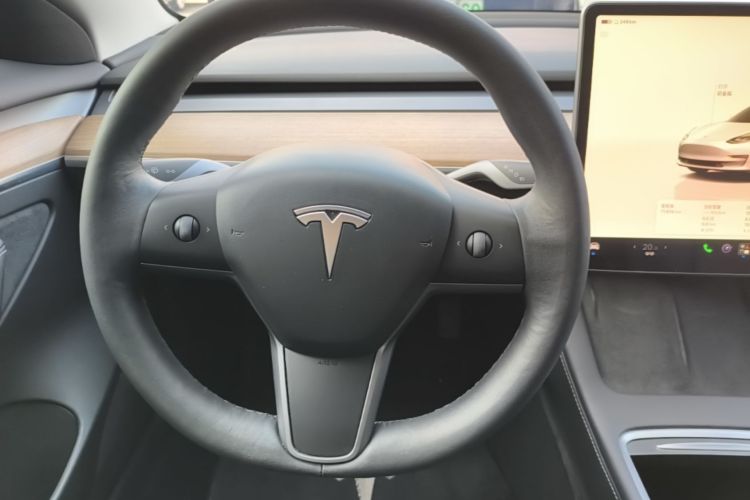 Tesla Model 3 2022 car image #11