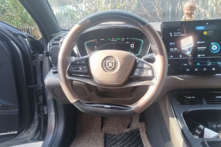 BYD Han 2021 immagine di auto #12