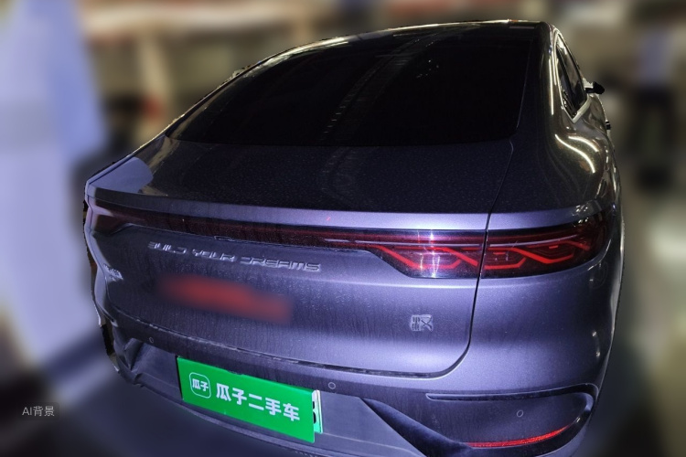 BYD Han 2022 immagine di auto #6