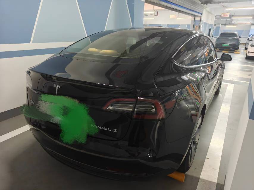 Tesla Model 3 2021 car image #6
