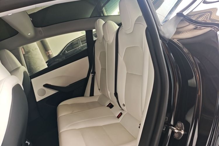 Tesla Model 3 2023 car image #17