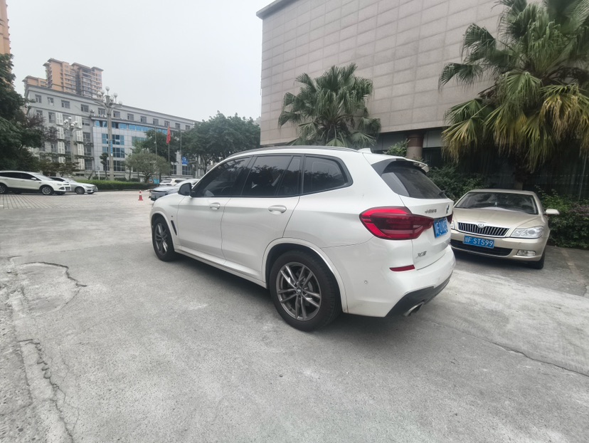 BMW X3 2019 immagine di auto #5