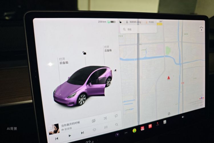 Tesla Model Y 2021 car image #13