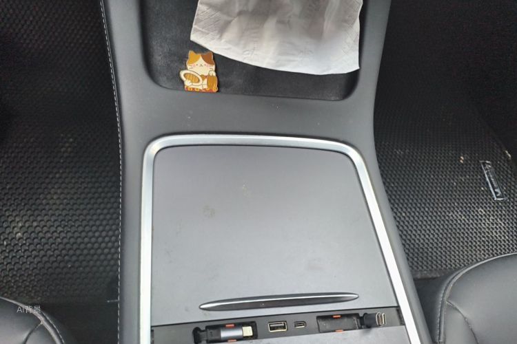 Tesla Model 3 2021 car image #10