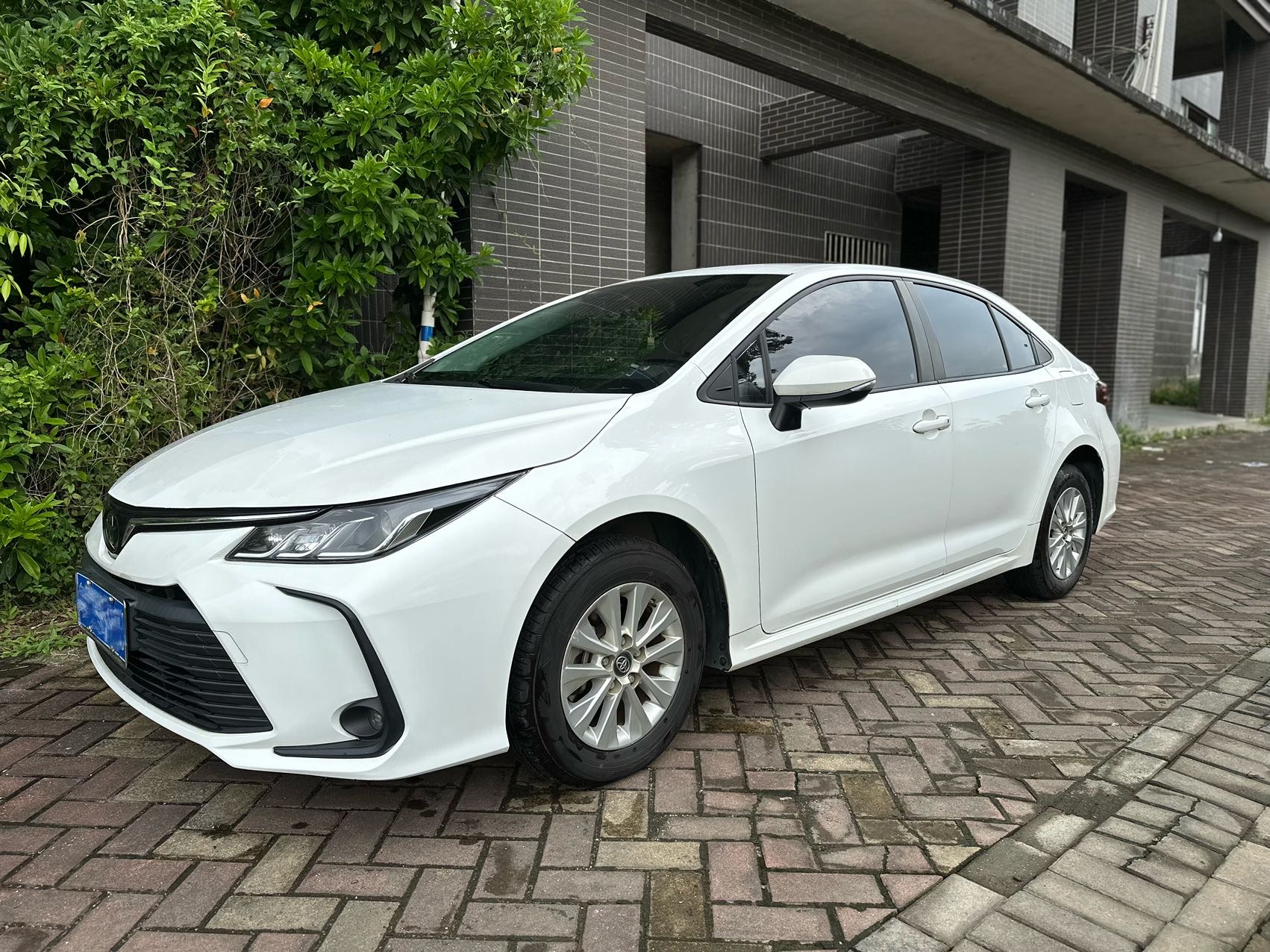 Toyota Corolla 2020 car image 