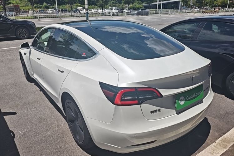 Tesla Model 3 2020 car image #5