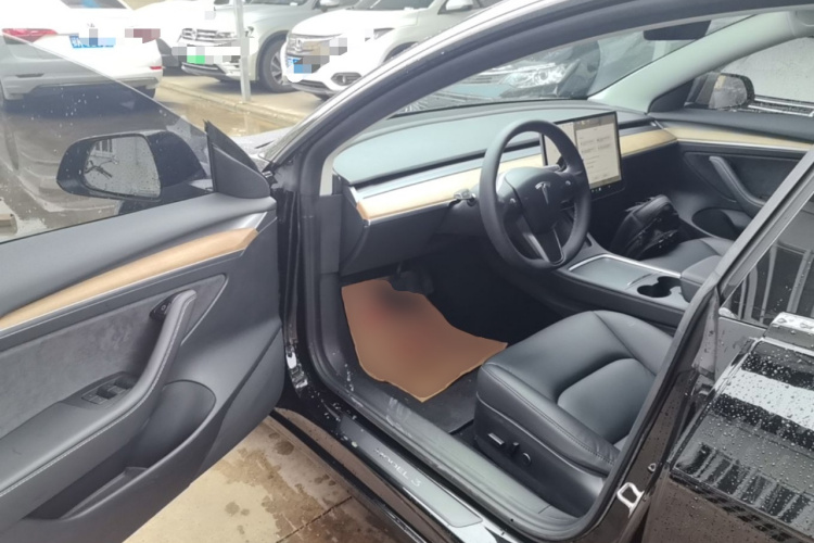 Tesla Model 3 2021 immagine di auto #16