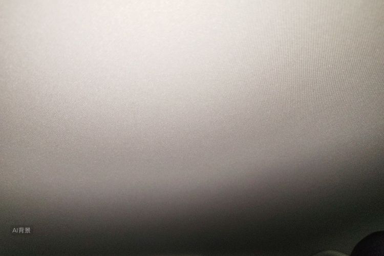 Volkswagen Polo 2019 car image #20
