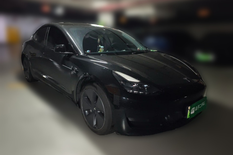 Tesla Model 3 2021 #4 Tesla Model 3 2021 car image #4