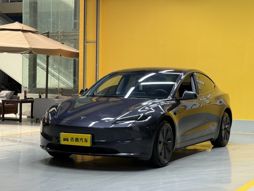 Tesla Model 3 2024 Tesla Model 3 2024 car image
