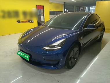 Tesla Model 3 2020 Tesla Model 3 2020 car image