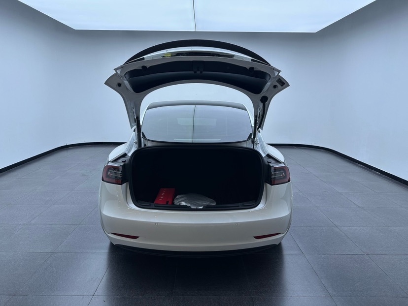Tesla Model 3 2022 #8 Tesla Model 3 2022 car image #8