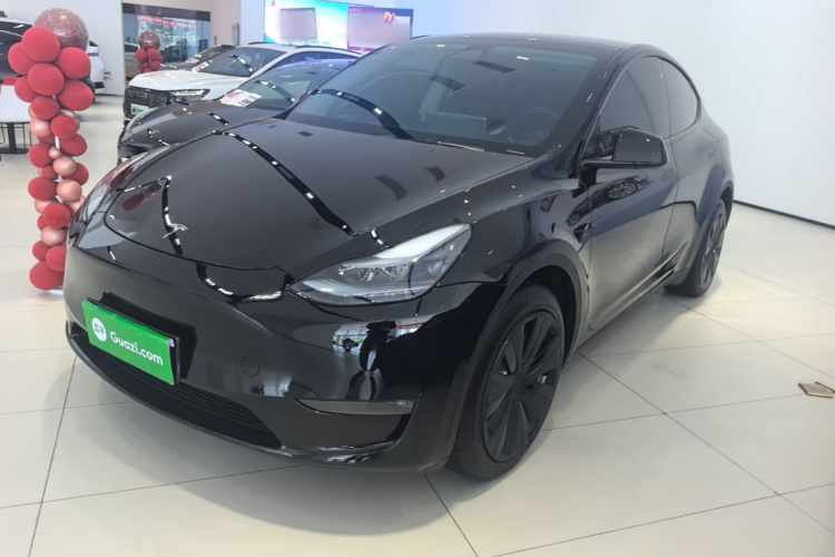 Tesla Model Y 2023 immagine di auto #2