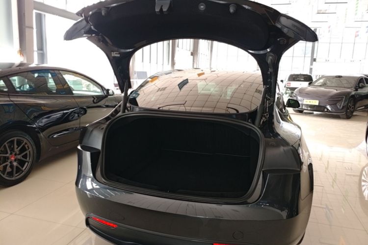 Tesla Model 3 2024 car image #19