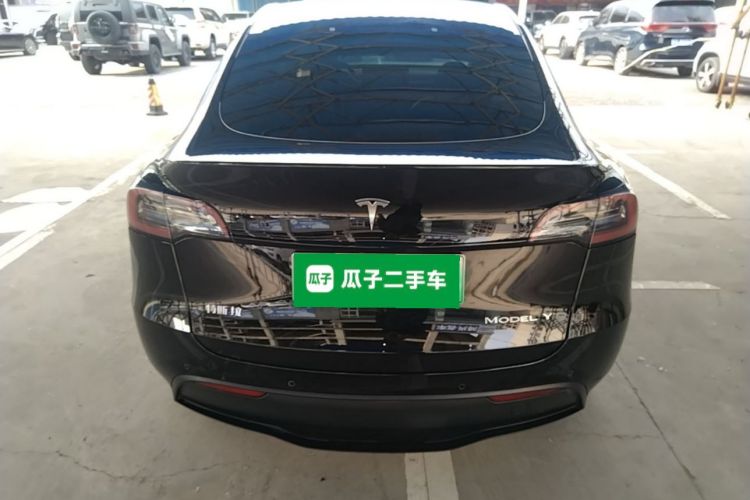 Tesla Model Y 2021 car image #6