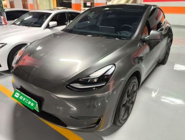 Tesla Model Y 2022 Tesla Model Y 2022 car image