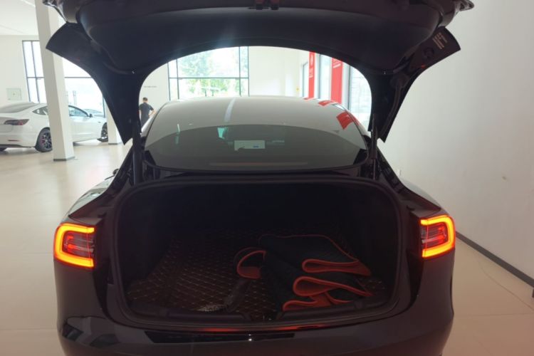 Tesla Model 3 2022 car image #19