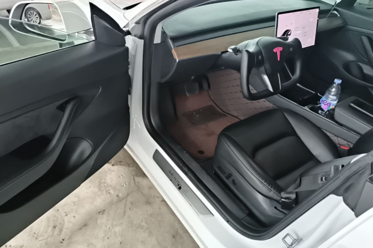 Tesla Model 3 2020 #16 Tesla Model 3 2020 صورة سيارة #16