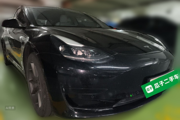 Tesla Model 3 2021 immagine di auto #4