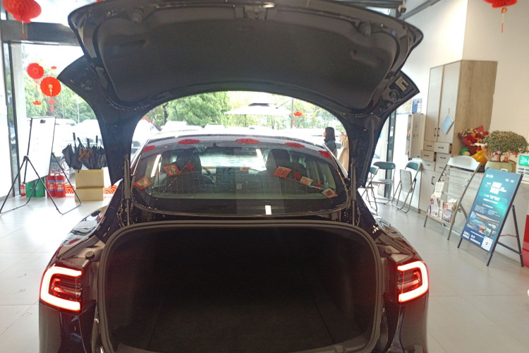 Tesla Model 3 2021 #19 Tesla Model 3 2021 car image #19