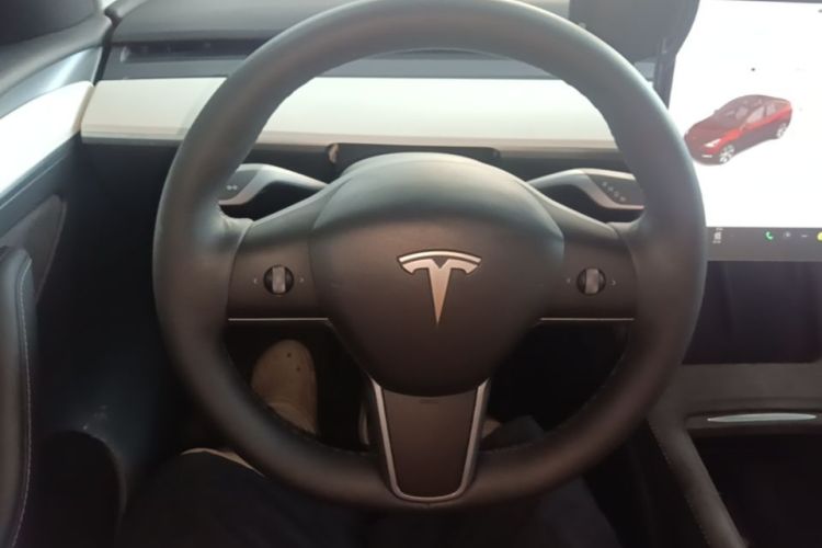 Tesla Model Y 2021 car image #11