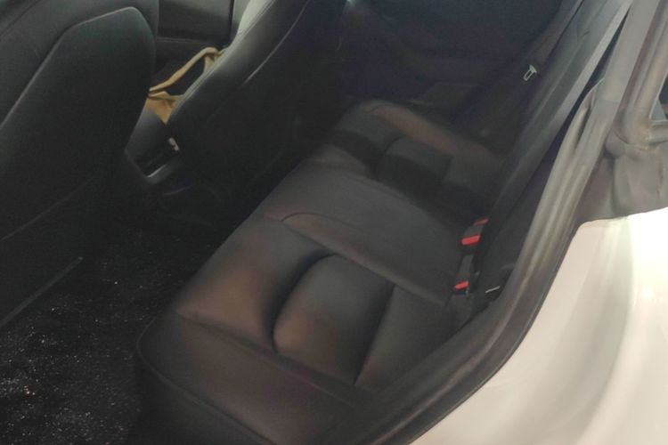 Tesla Model 3 2021 #17 Tesla Model 3 2021 car image #17