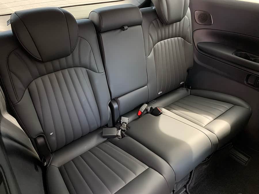 GAC Trumpchi E9 2024 car image #38