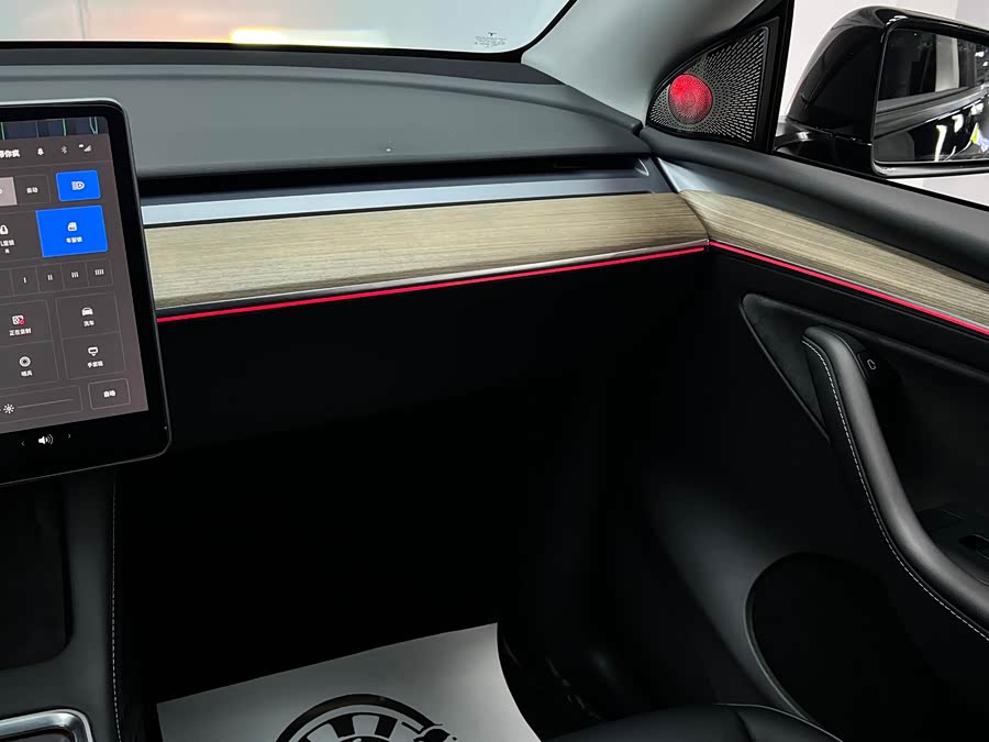 Tesla Model Y 2022 car image #38