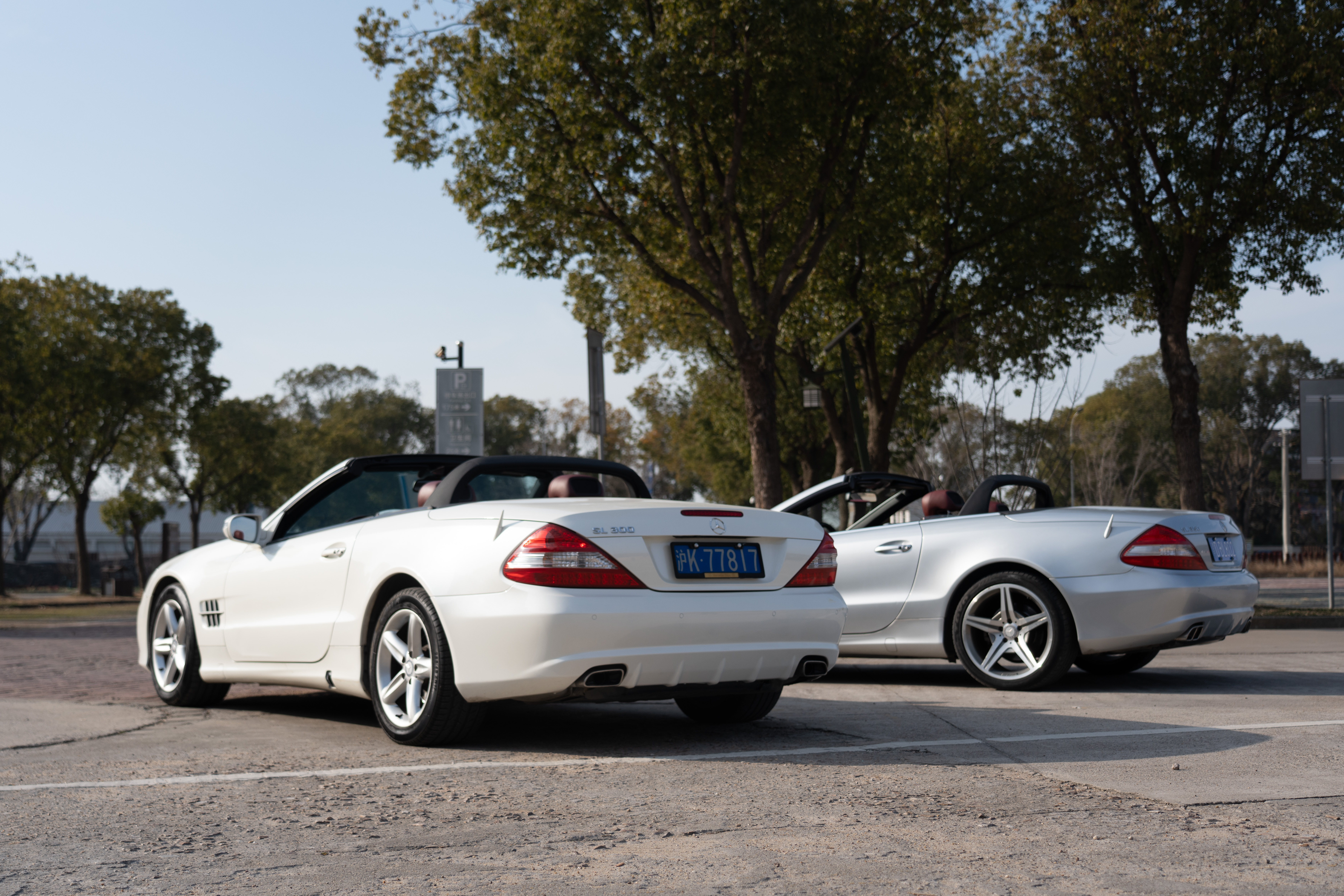 Mercedes-Benz SL Class 2010 immagine di auto #38