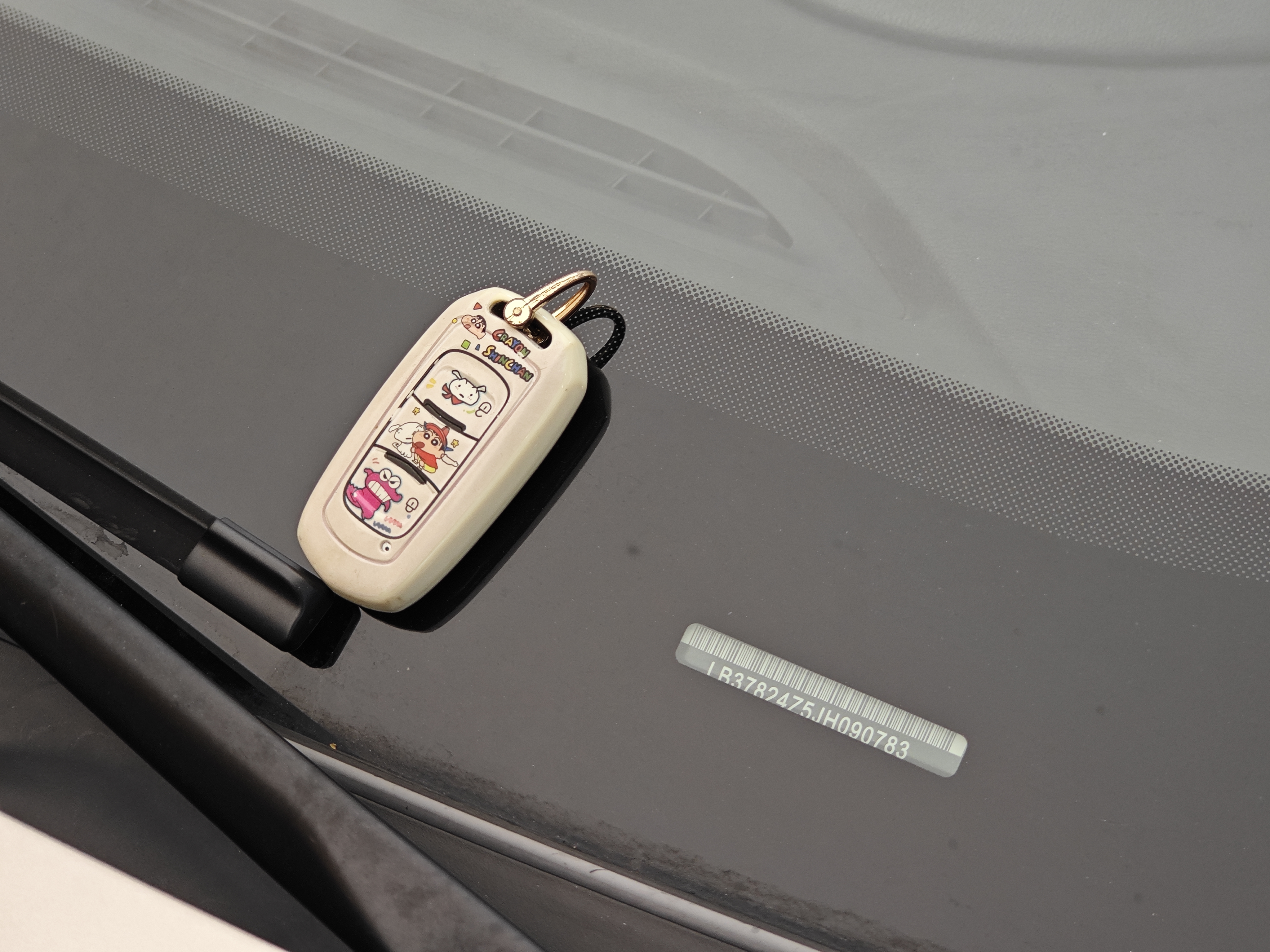 Emgrand GL 2018 immagine di auto #38