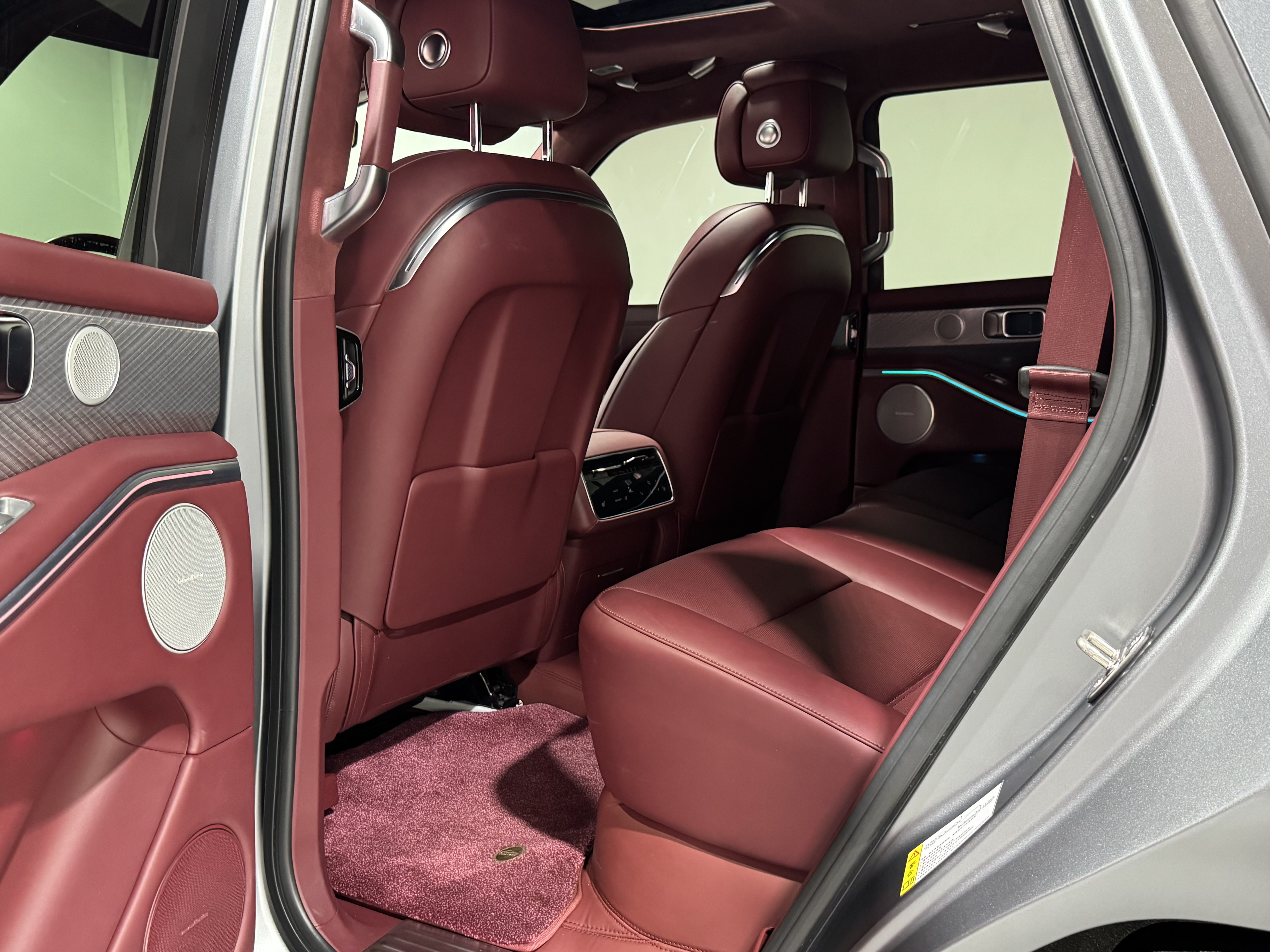 Tank 700 New Energy 2024 immagine di auto #38