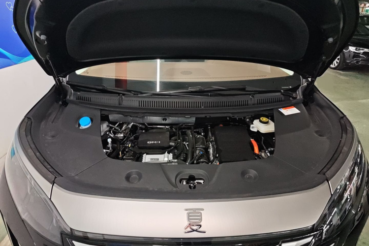 BYD Xia 2025 car image #38