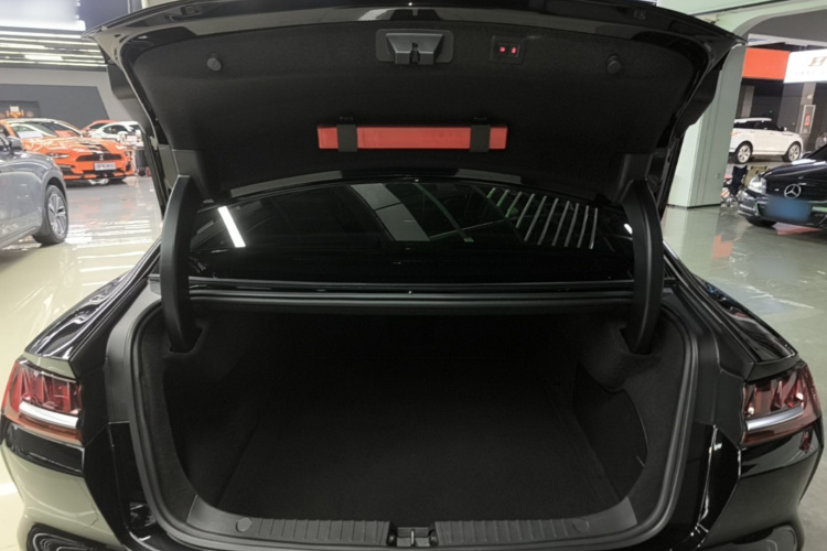 BYD Han 2021 car image #21