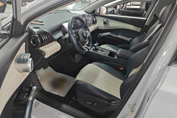 BYD Yuan Plus 2023 car image #19
