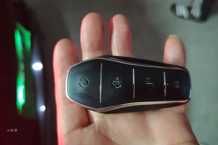 BYD Han 2023 car image #10