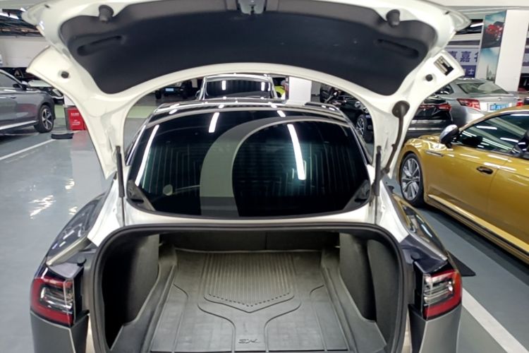 Tesla Model 3 2020 car image #19