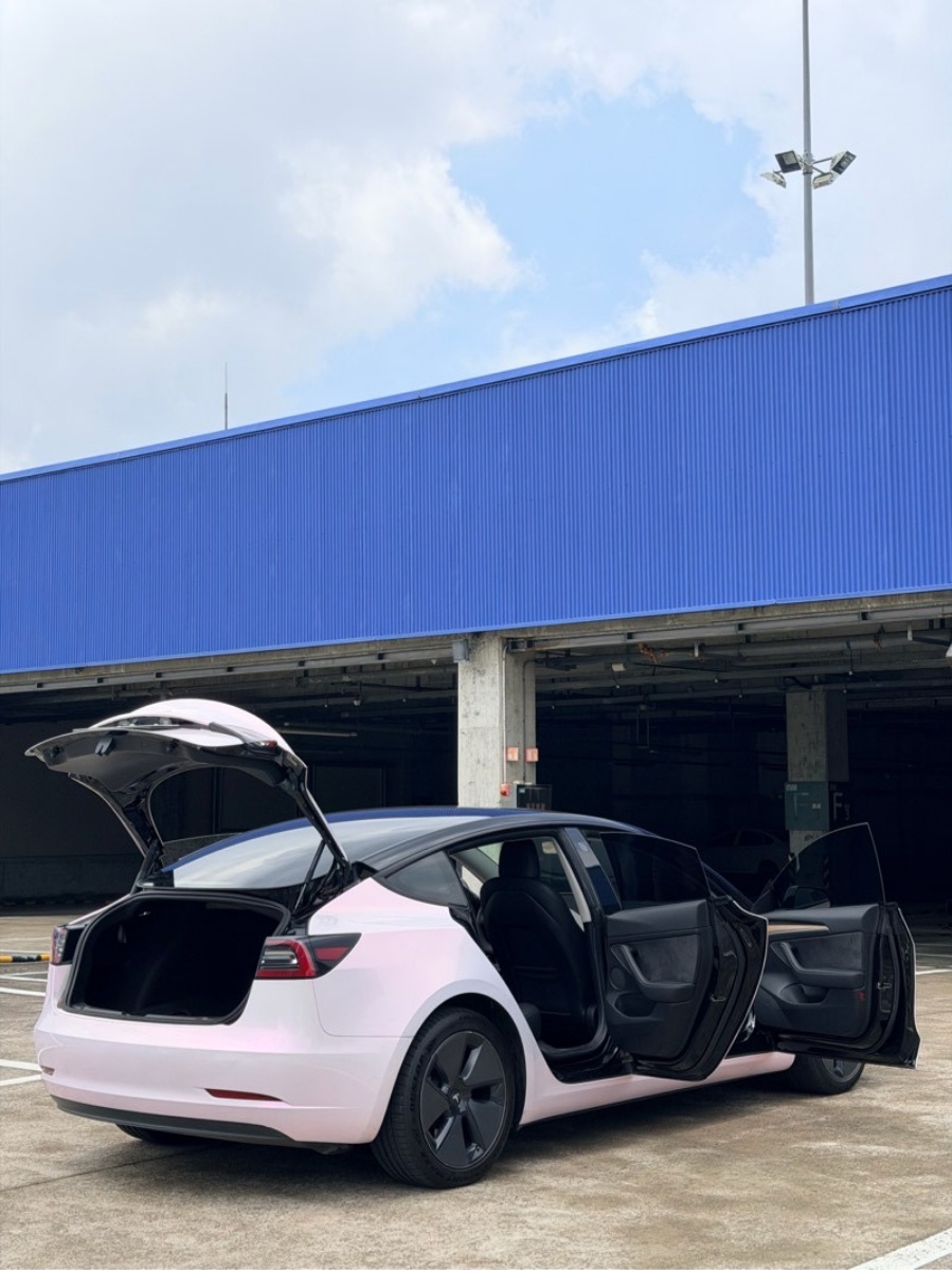 Tesla Model 3 2021 car image #6