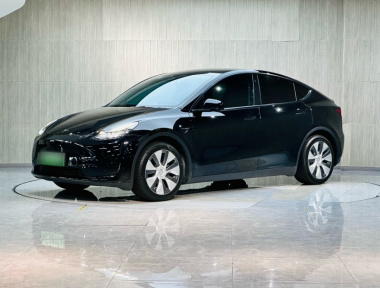 Tesla Model Y 2022 Tesla Model Y 2022 car image