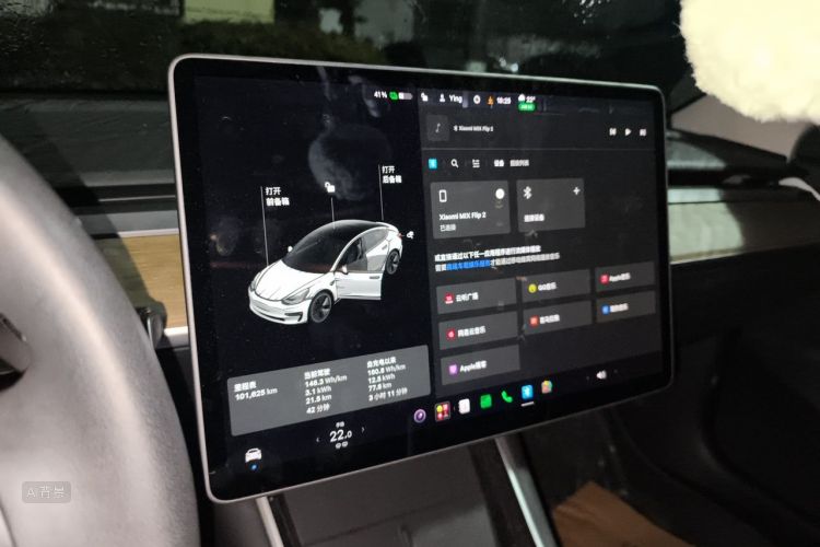 Tesla Model 3 2020 car image #13