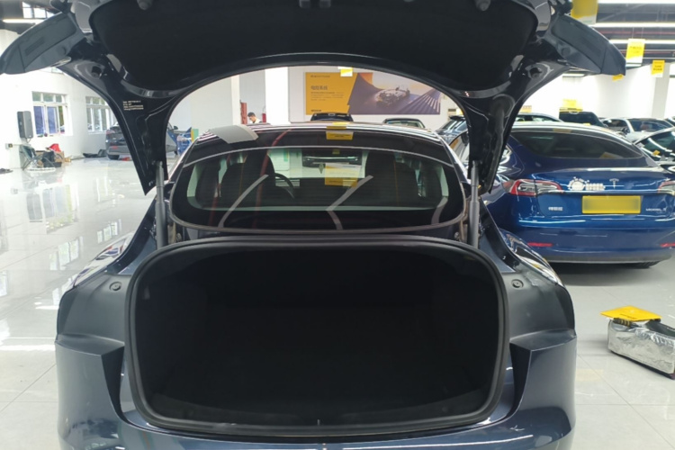 Tesla Model 3 2024 immagine di auto #19