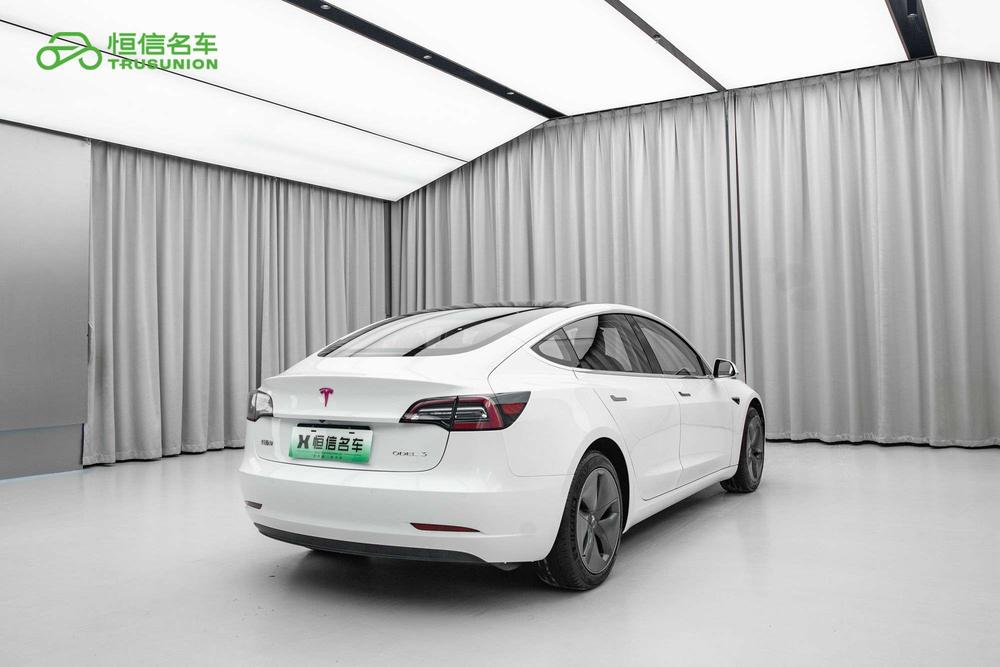 Tesla Model 3 2020 car image #6