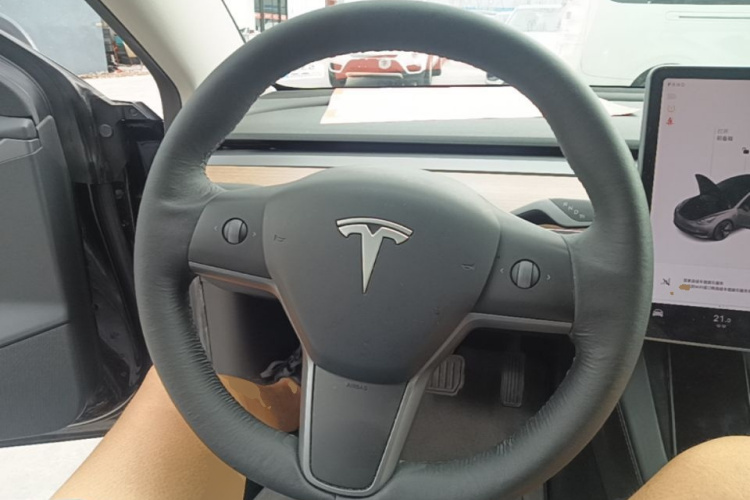 Tesla Model 3 2021 #15 Tesla Model 3 2021 car image #15